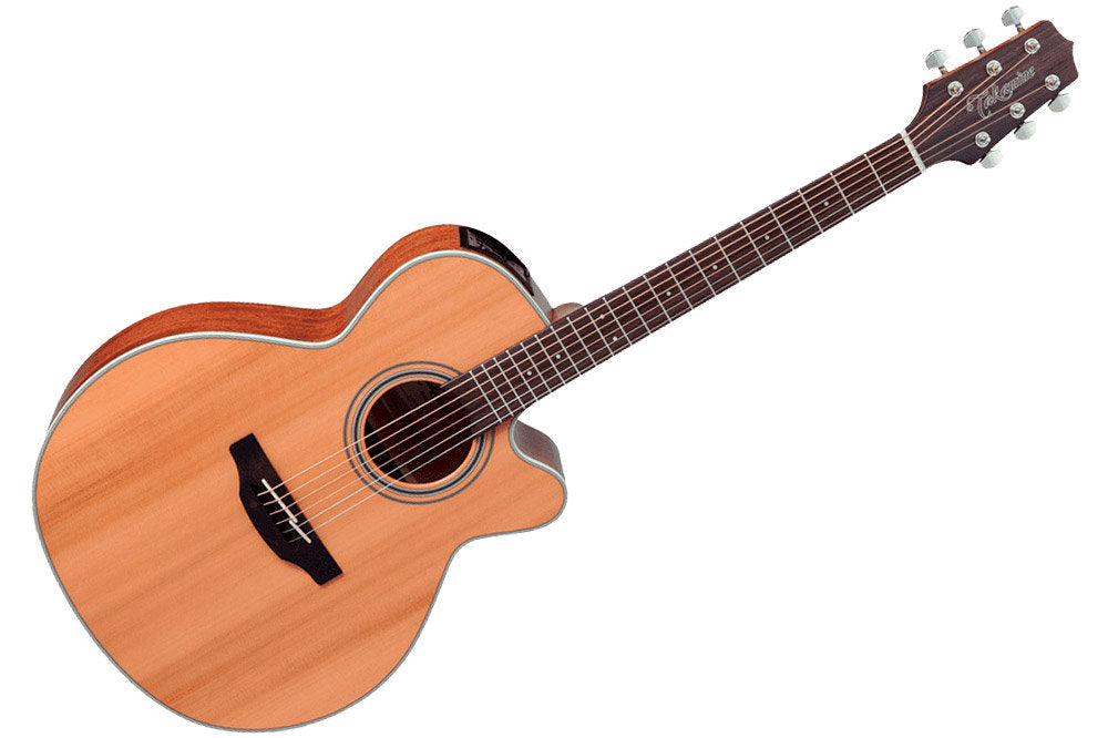 TAKAMINE GN20CE-NS