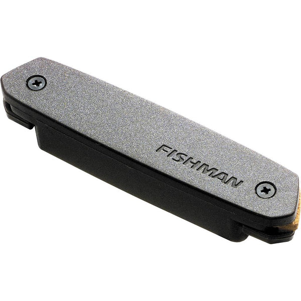 FISHMAN PRO-NEO-D01 Neo-D SingleCoil