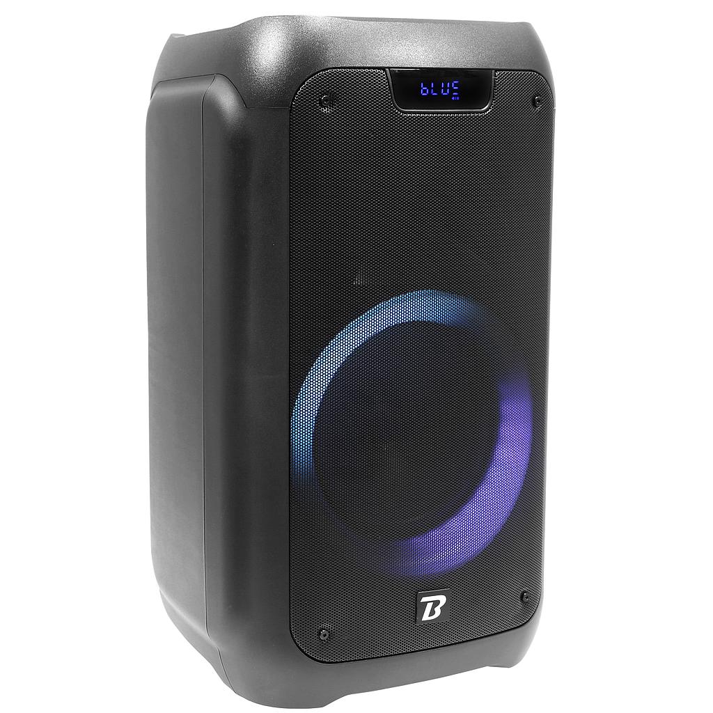 TRAVELER 300 - BOOMTONE DJ 