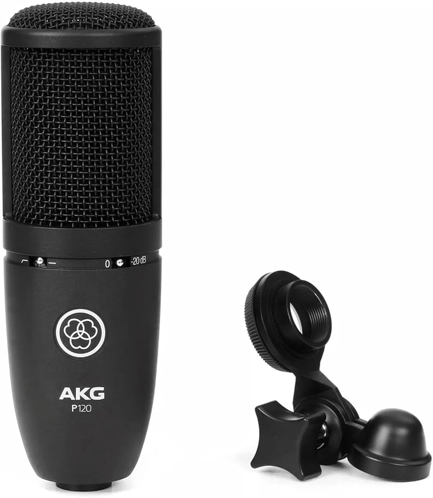 AKG - P120