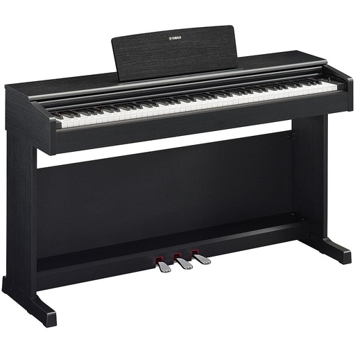 [ZYAMYDP144B] YAMAHA YDP-144B Arius