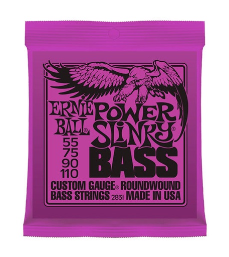 [ZERNEP02831] ERNIE BALL 55-110
